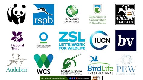 best charities for wildlife conservation|9 Best Wildlife Conservation Charities (Complete 2024 List).